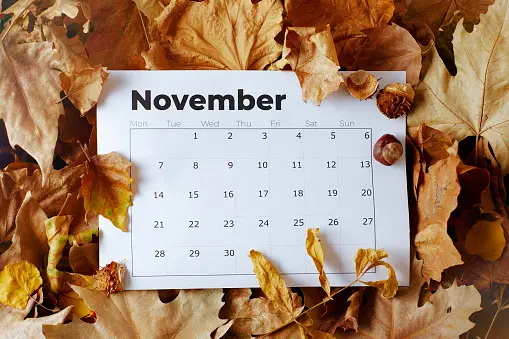 Embracing November: A Season of Transition and Gratitude