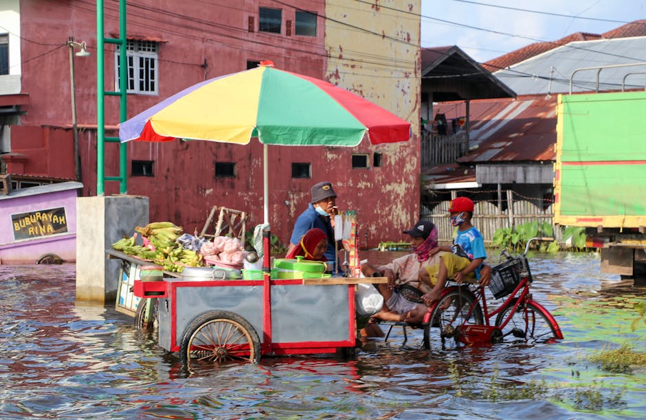 earn a living in the midst of a flood