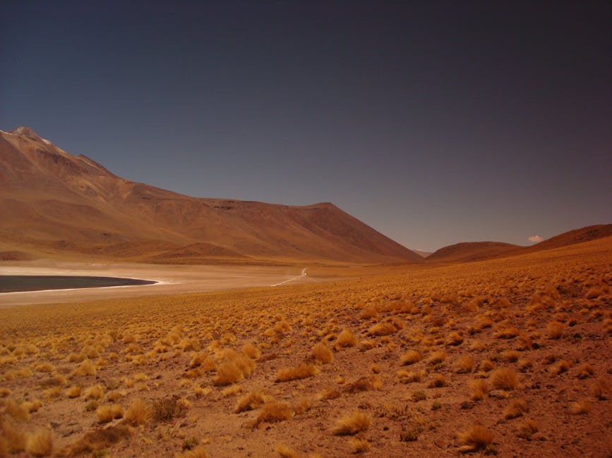 Breathtaking view of a desert landscape with distant mountains and a tranquil oasis under a clear sky.