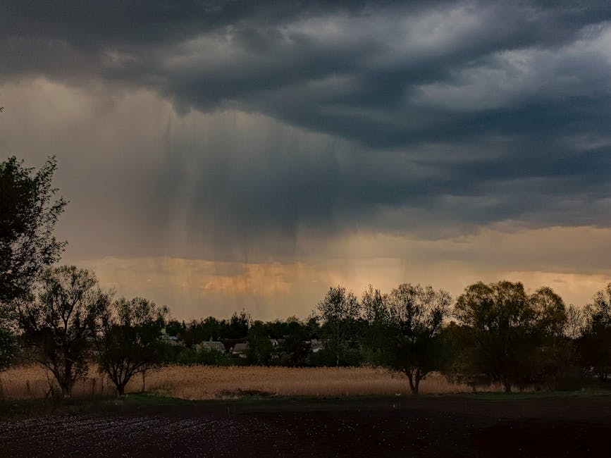 Dark storm clouds gather over a rural field, hinting at approaching rain. Captured in detail, this scene evokes a sense of impending weather change.
