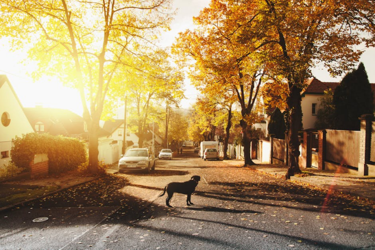 Revolutionizing Residential Propane: How Flash Gas is Transforming Home Energy Service
